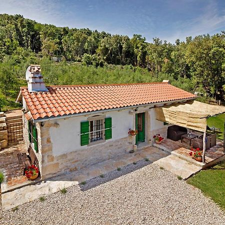 Roinizza In Prtlog Villa Labin  Exterior photo